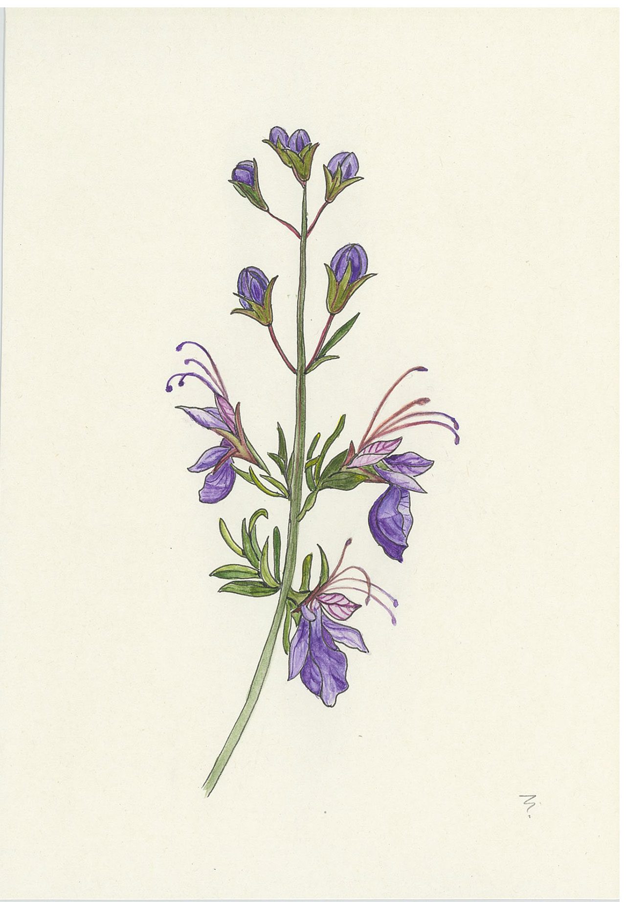 געדה מזרחית