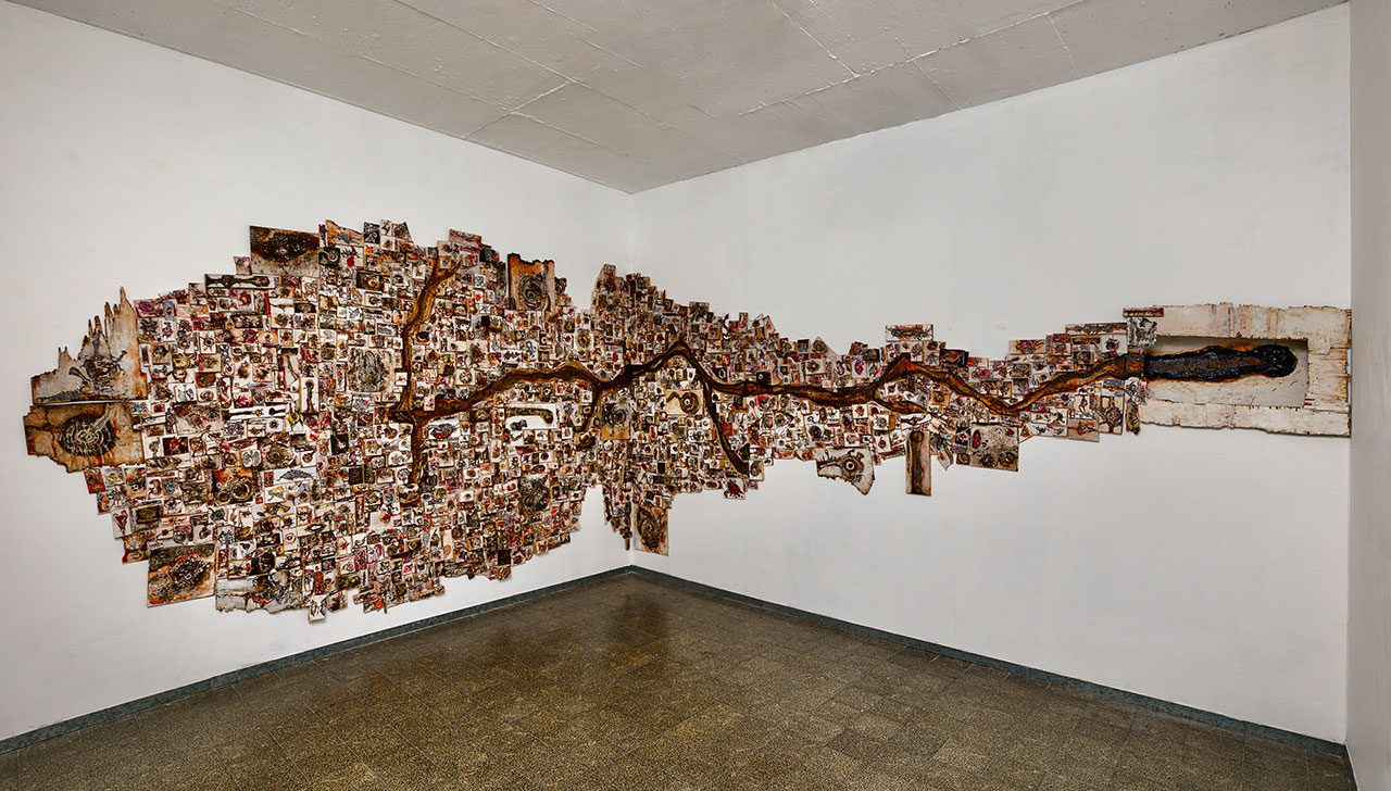 דליה חי אקו, ״באתי, הרגשתי לא טוב ונעלמתי...״. צילומים: אסף אלבוחר