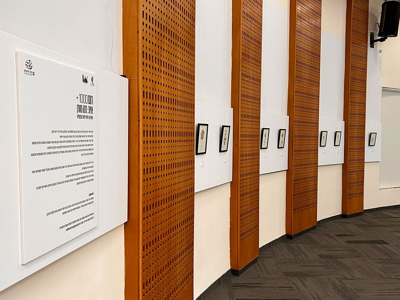 הספרייה העירונית, הוד השרון. צילומים: מ״ל