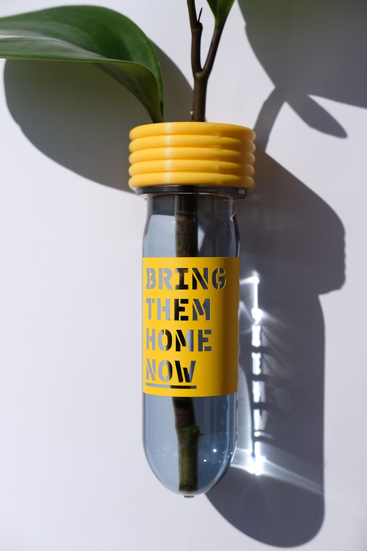 השרשה עם תקווה ב־Roota. צילום: קרן אטאס