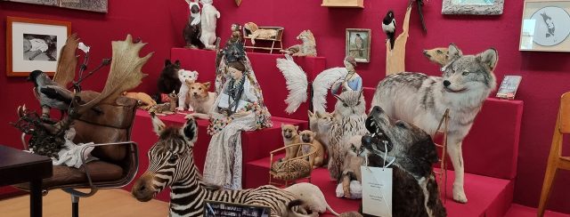 סופי קאל במוזיאון פיקאסו. צילומים: מ״ל