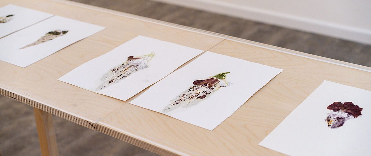 רונית מירסקי, טינקטורה. צילומים: דניאל חנוך