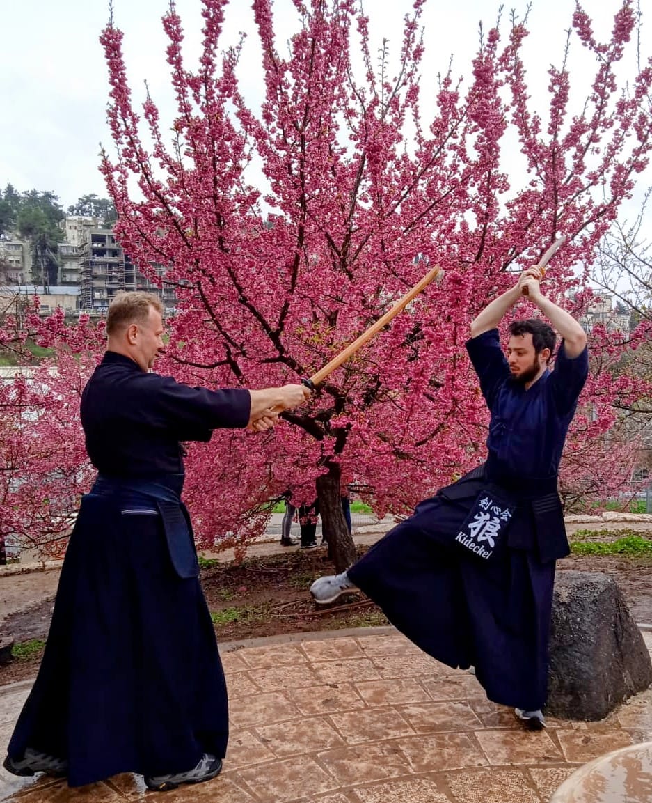 חגיגת הסאקורה בגן הבוטני ירושלים. צילום: אשר-פורגס