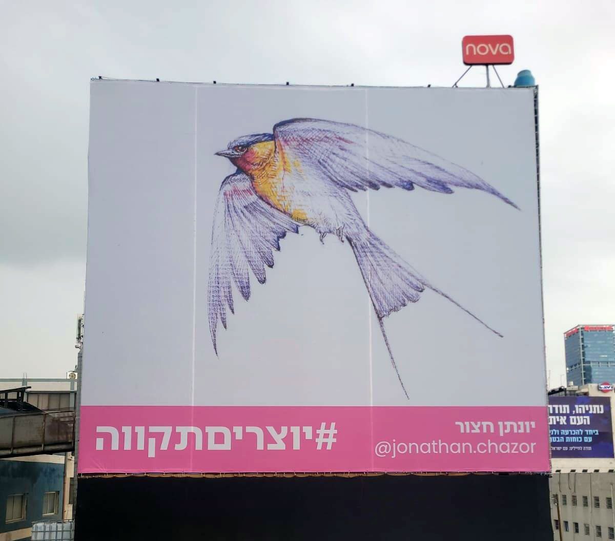 יונתן חצור