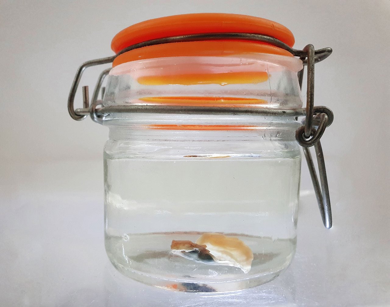 הקשר הפיזי האחרון, 2016. צילום: מ״ל