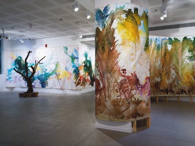 רתם רשף. צילום: מ"ל