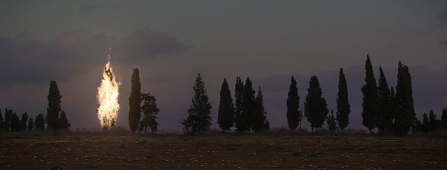 דניאל קיצ׳לס, ברוש, 2021