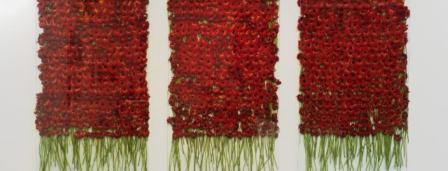 אניה גלצ'יו. צילומים: מוזיאון ישראל, ירושלים, אלי פוזנר