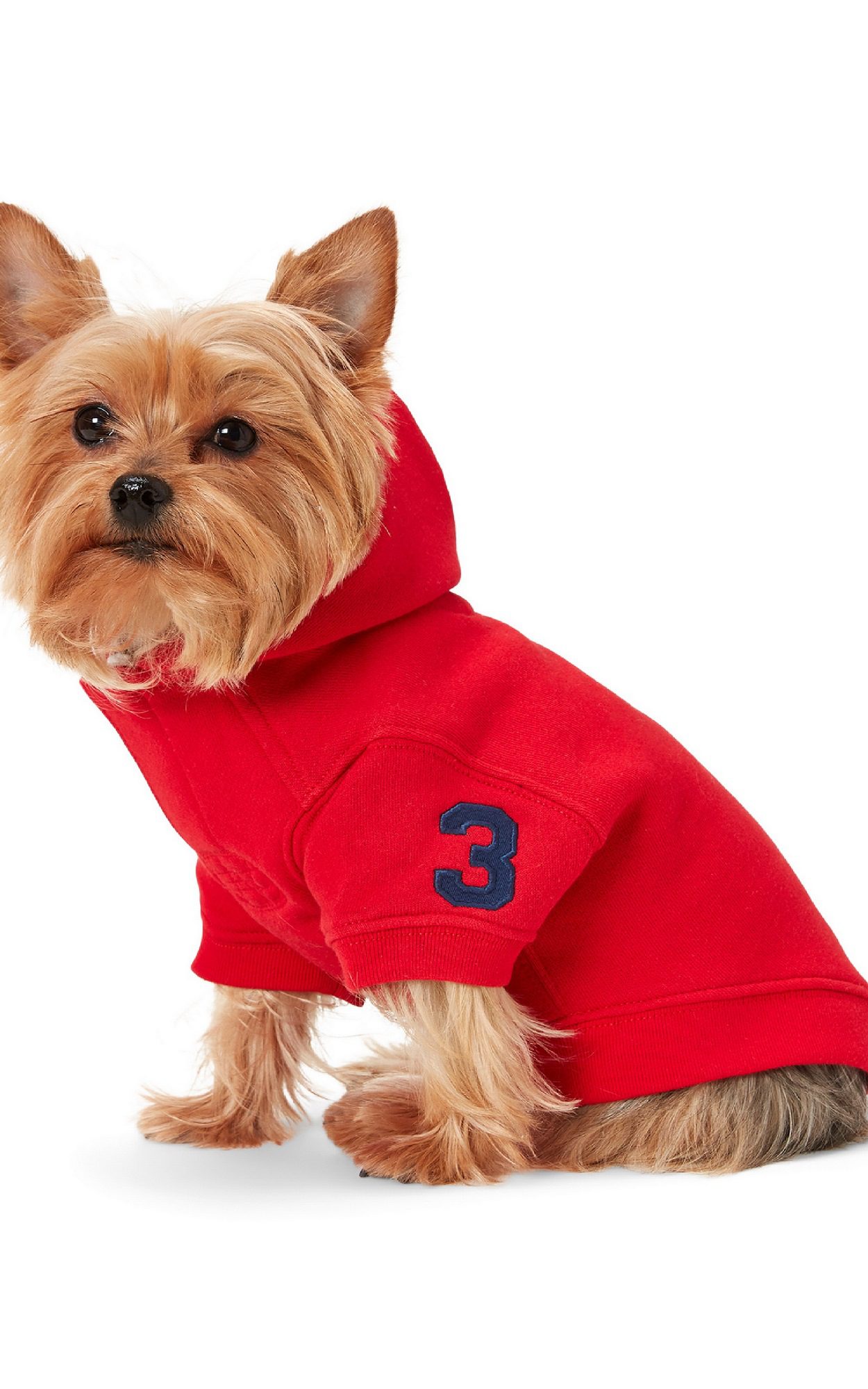 פולו ראלף לורן. צילומים: מ"ל