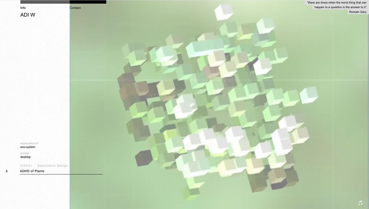 עדי ויינטרוב