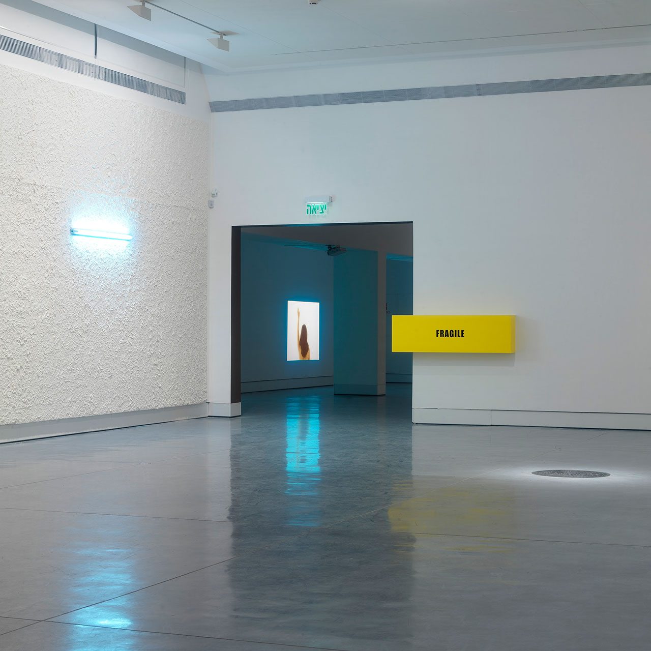 (לאחר), 2005, מוזיאון פתח תקוה; עבודות של גל וינשטיין, רמי מימון, נלי אגסי, דורון רבינא. צילום: עודד לבל