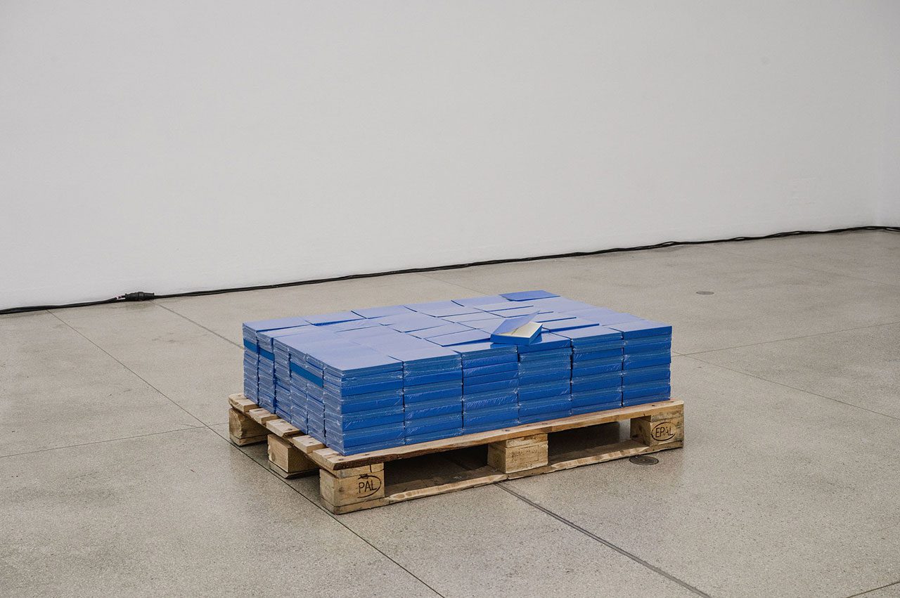 אליסה ג׳יארדינה פאפא, Leaking Subjects and Bounding Boxes: On Training AI