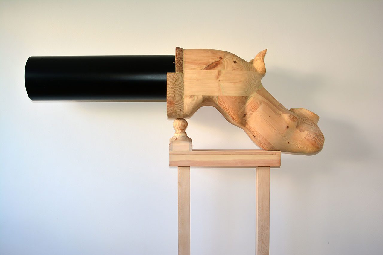 אשר אלהרר רובה קרנף צילום בועז בריל