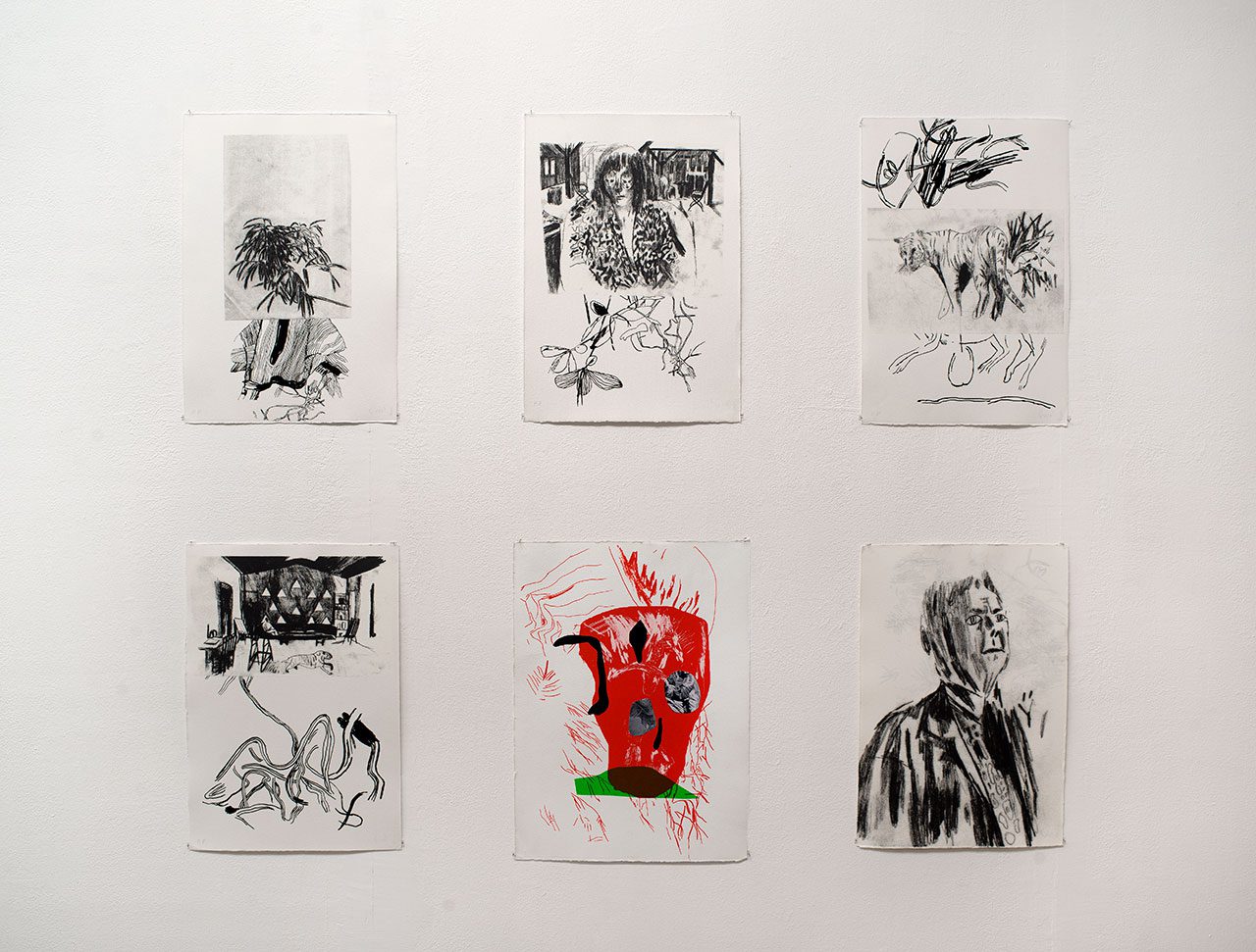 נינו ביניאשוילי, תחלואה כפולה