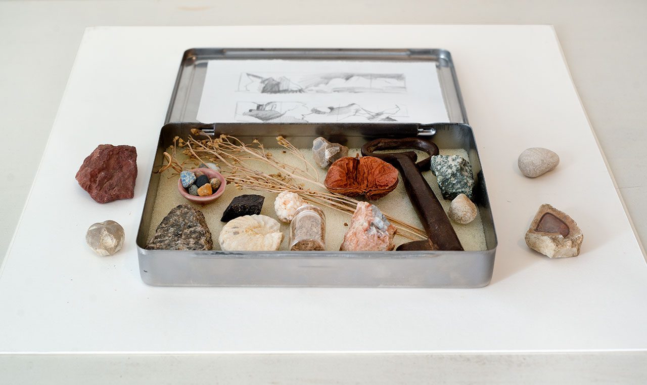 ורד אליעזרי גנשרוא