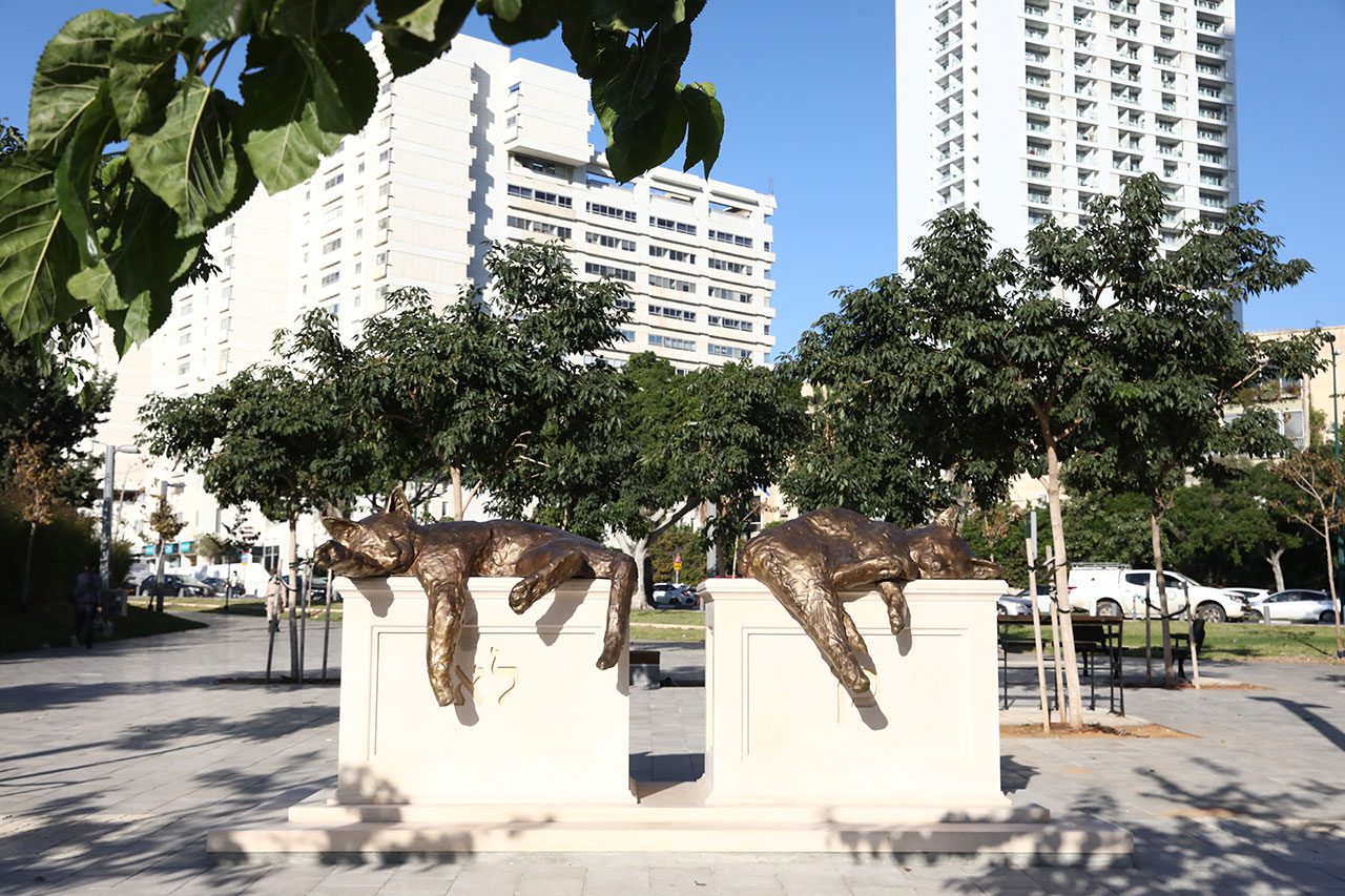 יעל פרנק, הישנים