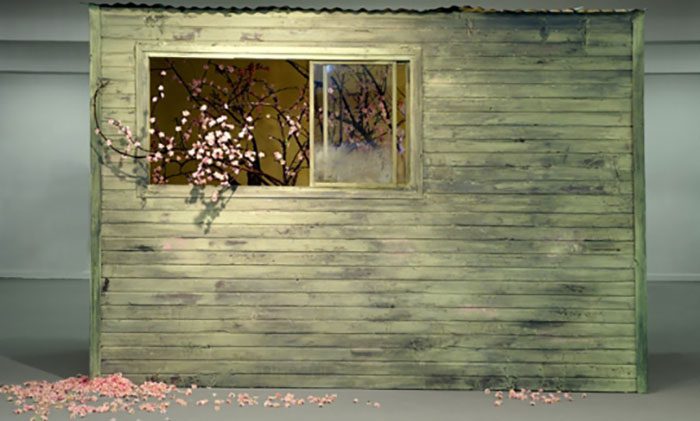 ליהי חן, late bloomer. מתוך פאטאמורגנה, מוזיאון חיפה. צילום: אריאל ורהפטיג