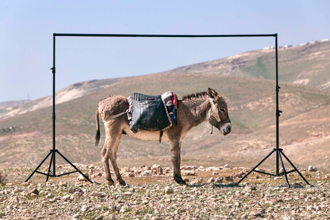 רונן זן