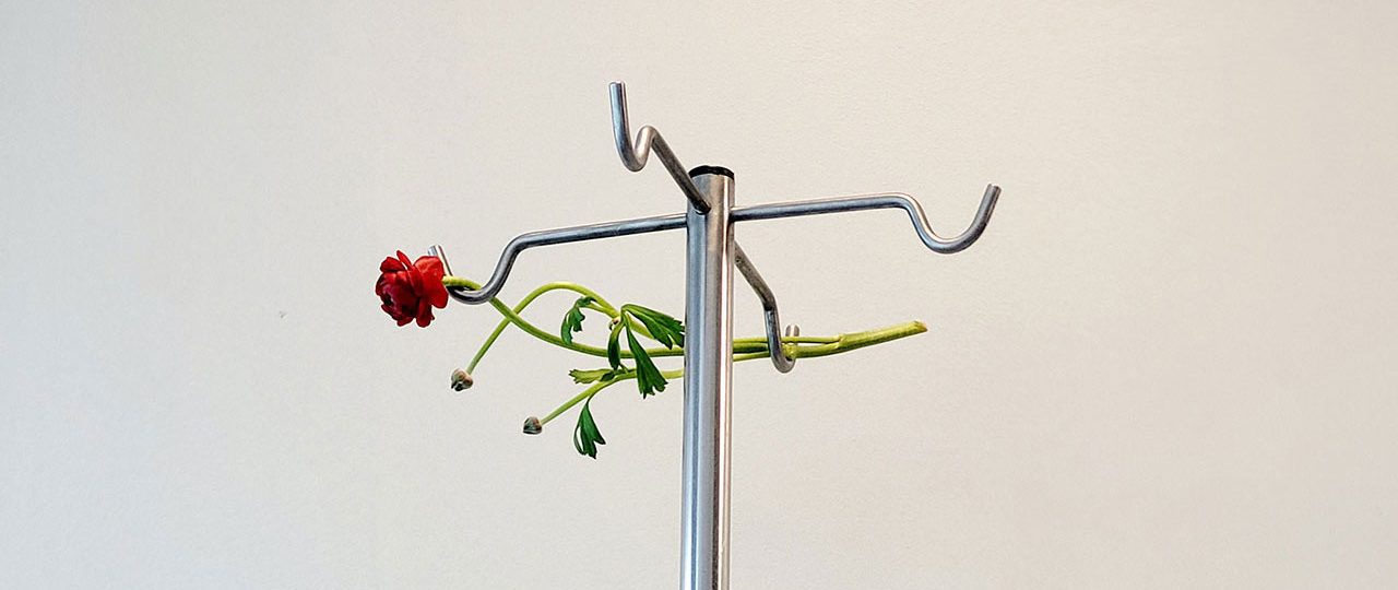 אפרת זיו בן־ארויה, הצלה של הרגע האחרון