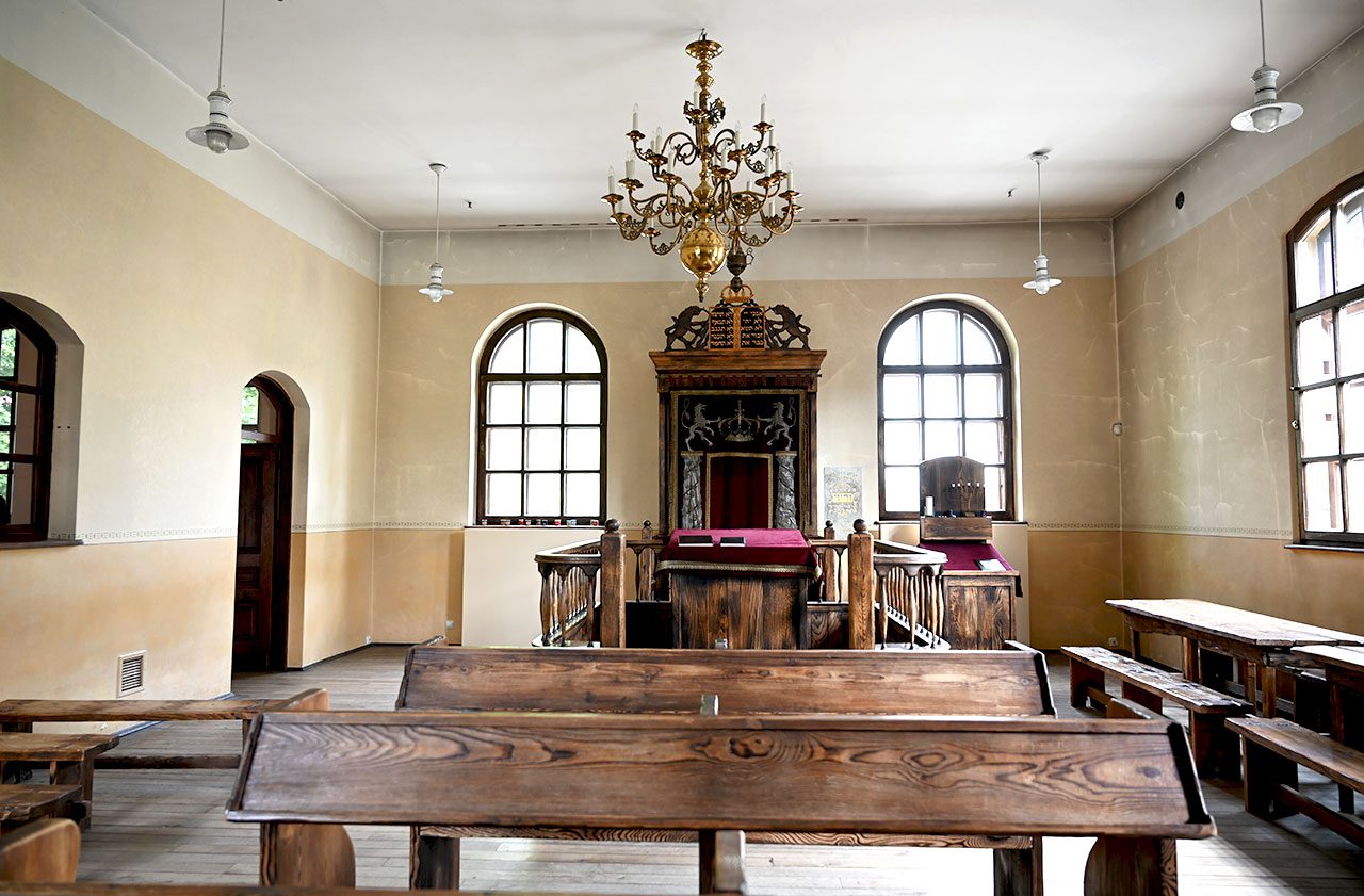 דנה אריאלי, אושווייצים