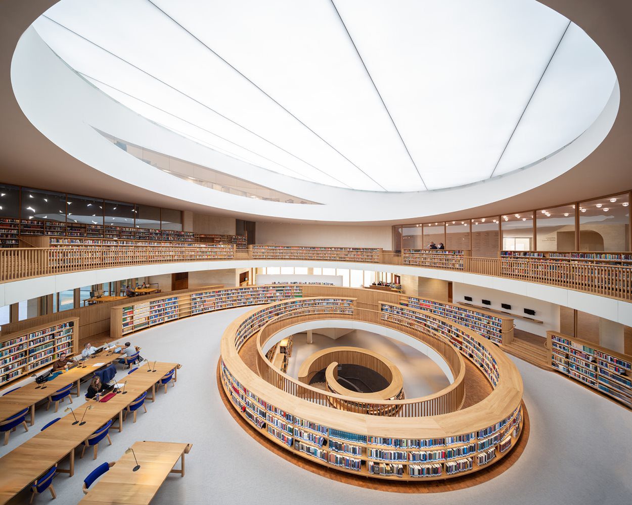 צילום: סתיו צור