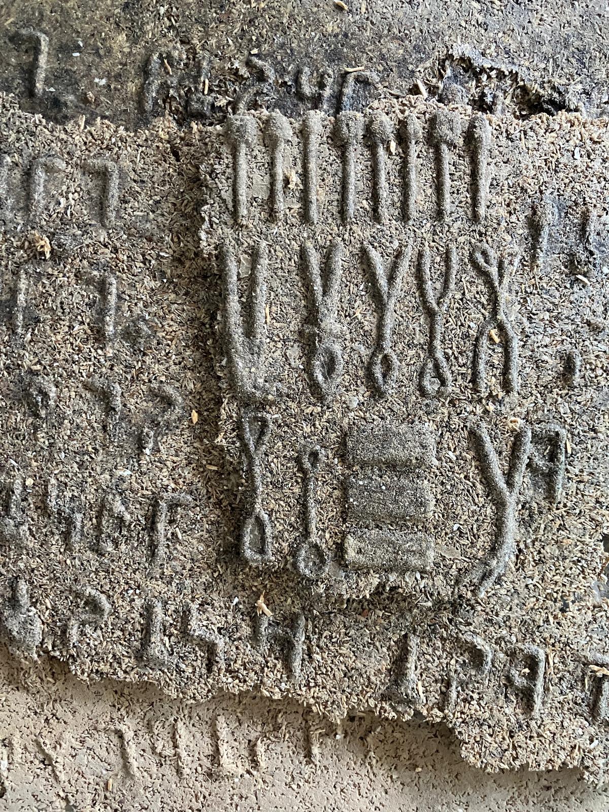 חיימי פניכל. צילום: טל פרנקל אלרואי