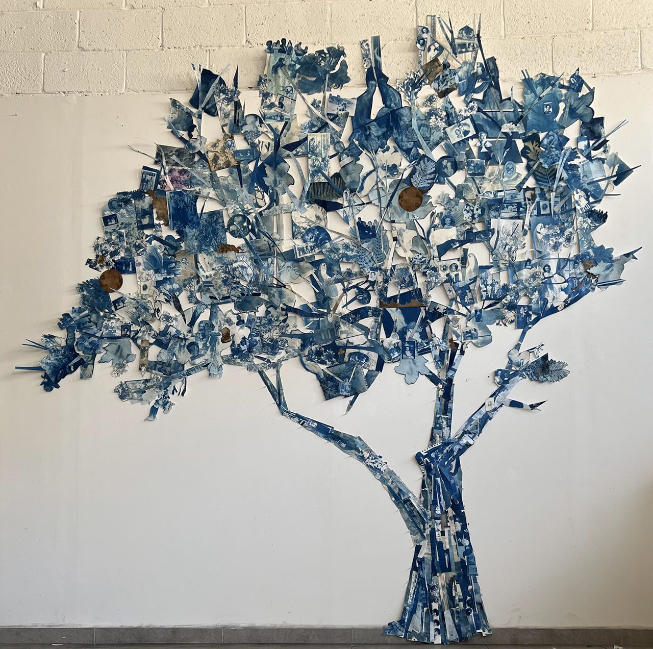 לוסי אלקויטי