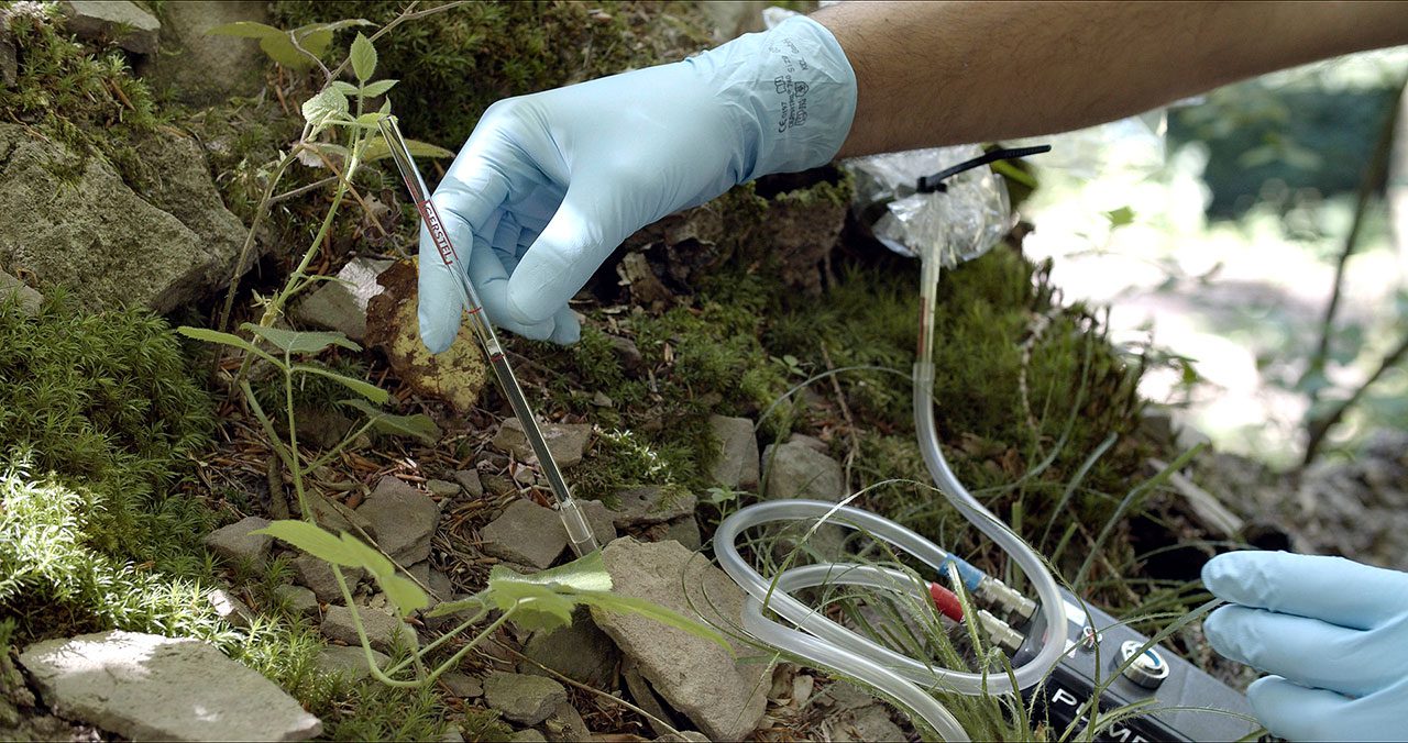 צילום: Shakupa Stark