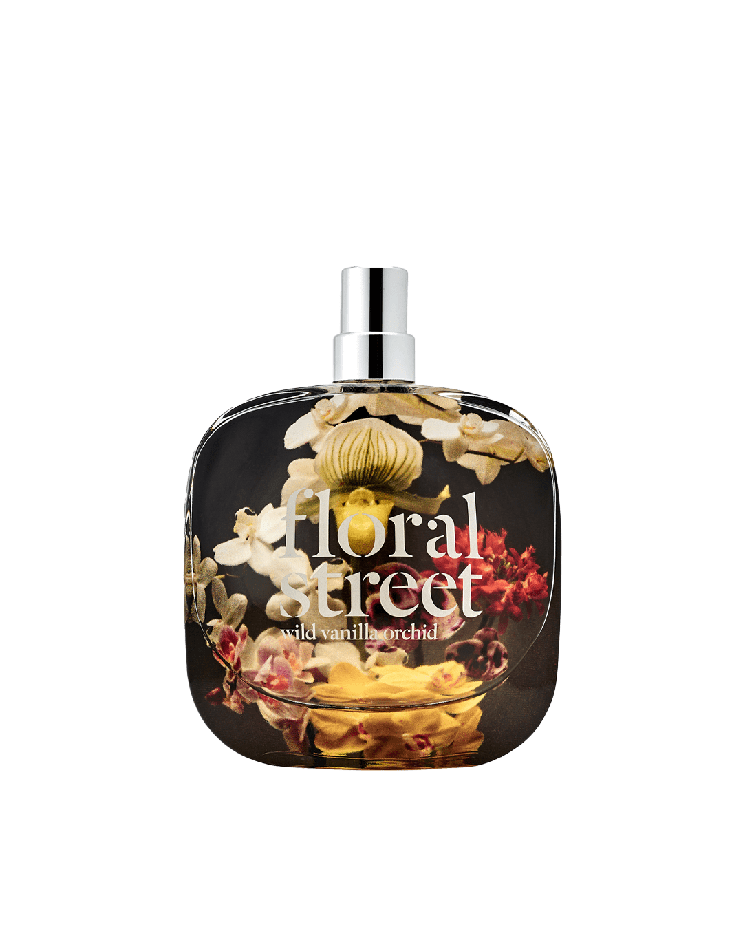 OHGLOW. צילומים: מ"ל