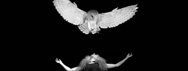 שרה דיין ואורן טל, מוסררה מיקס. צילום: מ״ל