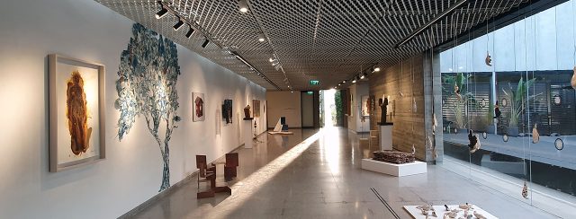 כאבי פנטום, מרכז תאו. צילומים: מירב רהט