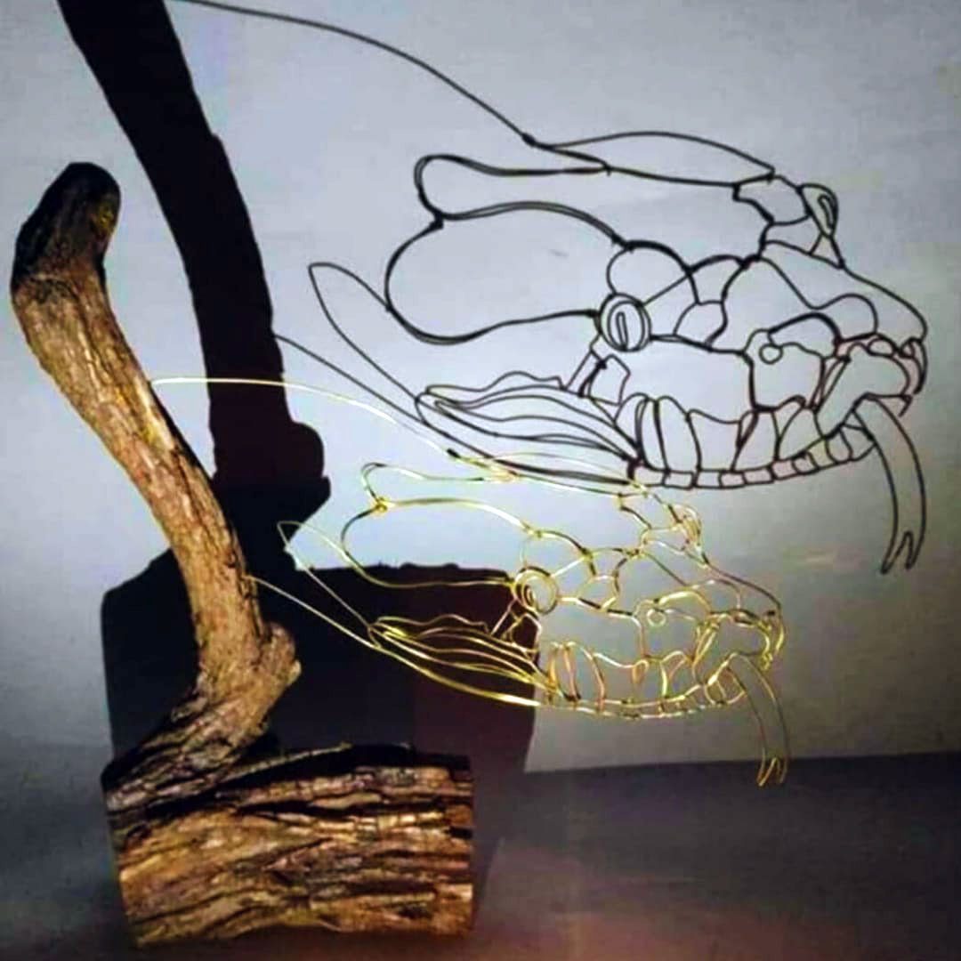 בל, נחשה מסוג פיתון בורמזי