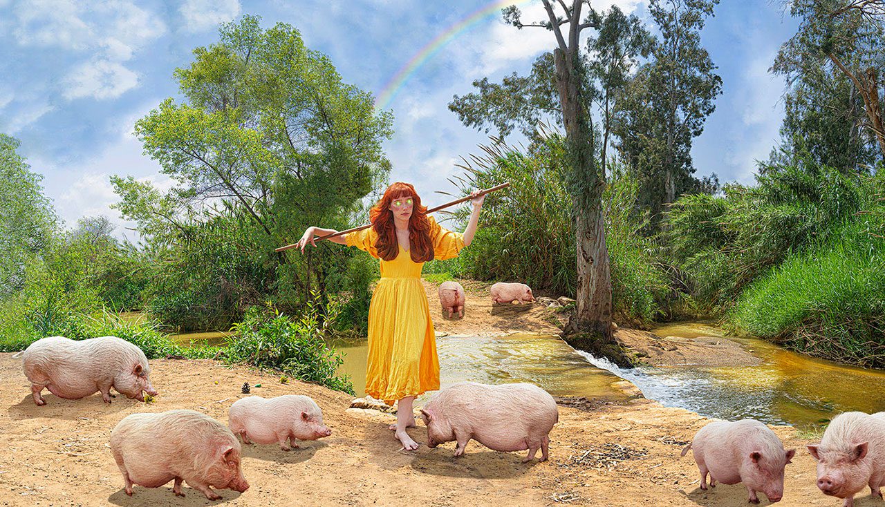 הרואה בחזירים