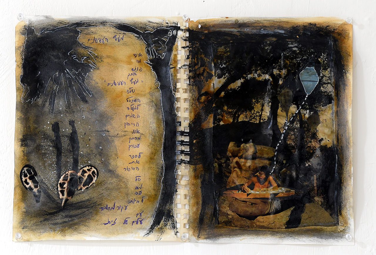 חדוה ראובו. צילום: עמרם כהן