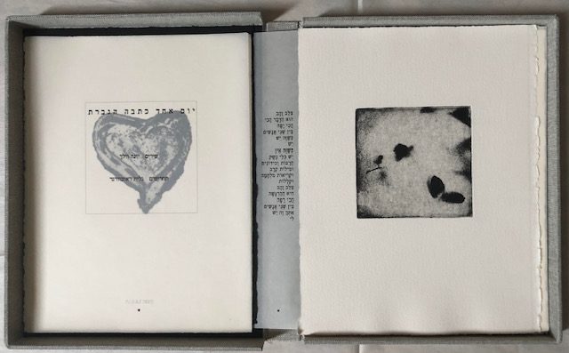 גלית ראוכוורגר בקוביה 6. צילום: מ״ל