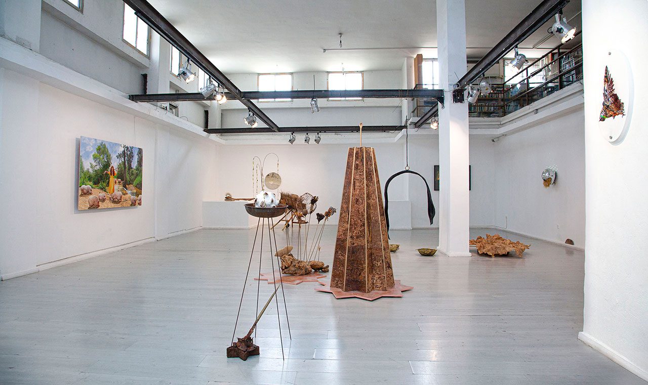 מלקטות תקווה. צילומים: אניה קרופיאקוב