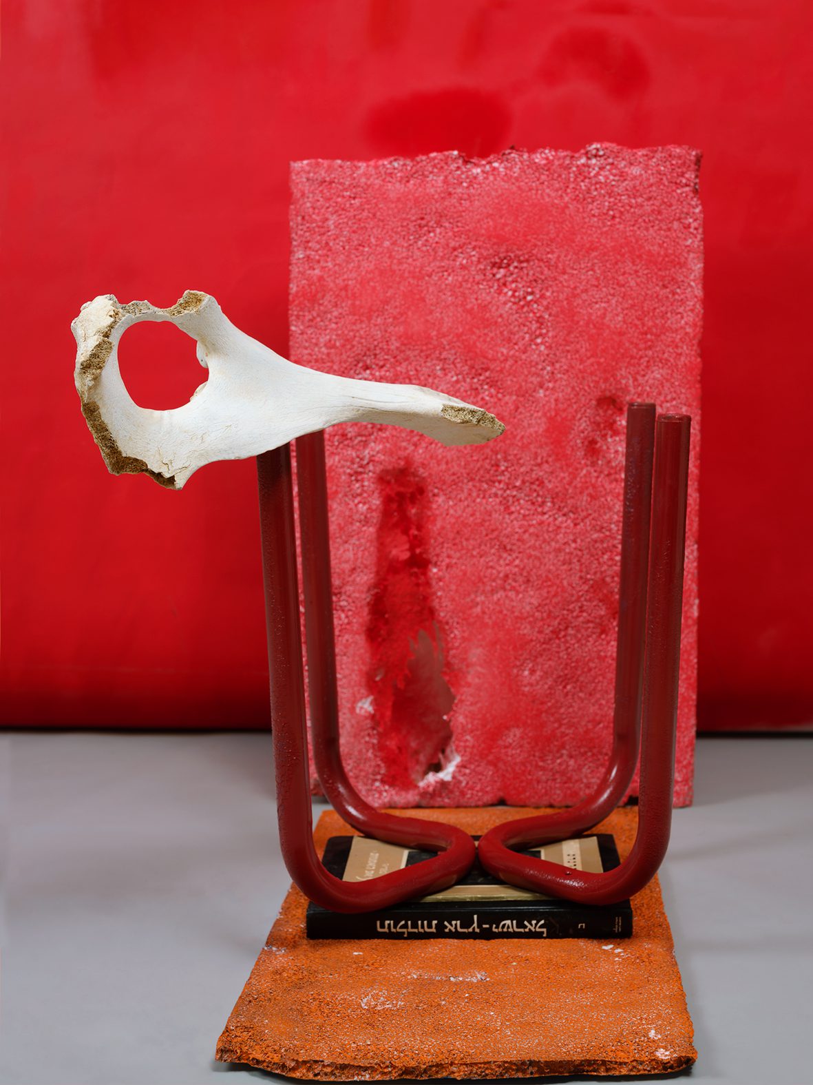 ציקי אייזנברג בגלריה קו 16. צילומים: מ״ל