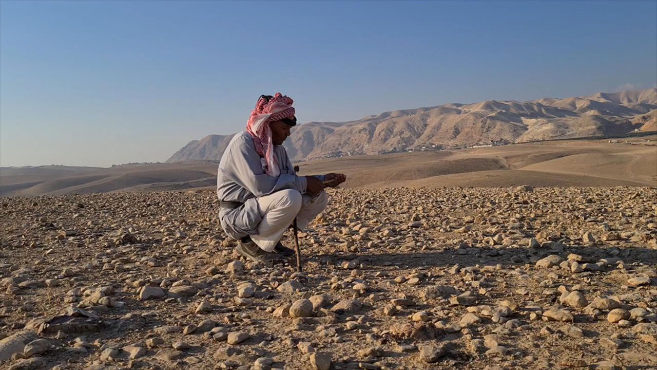 הדרה אורן, שומר הרועים