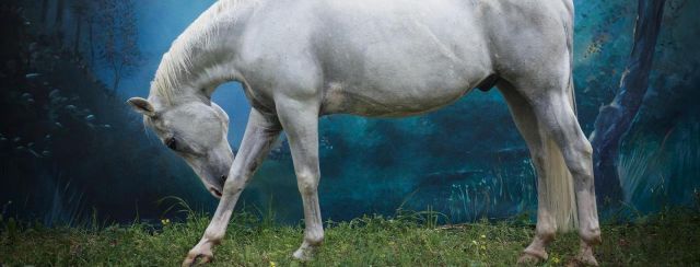 מיכל חלבין בפרויקט 21. צילומים: מ״ל