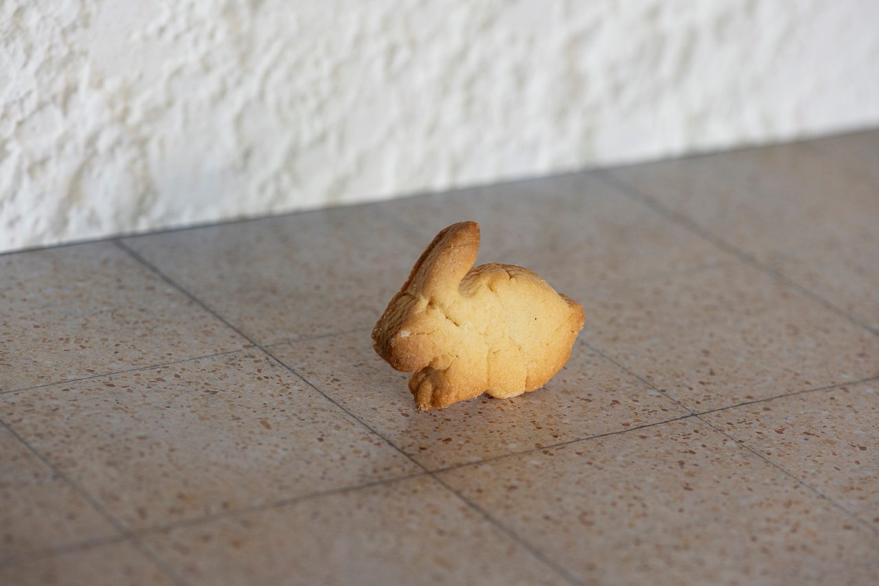 שגית זלוף נמיר