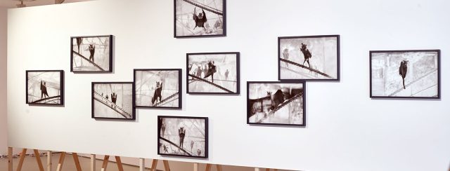 הדס סט, Black Sorrow; תיאטרון החיות במוזיאון תל אביב. צילום: דור קדמי