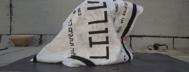 ליאב מזרחי, כרבולית. צילום: מ״ל