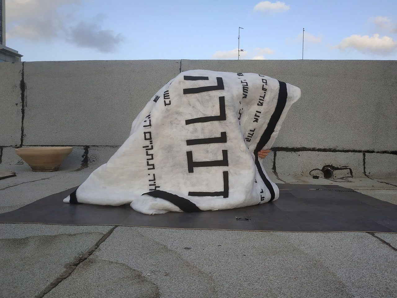 ליאב מזרחי, כרבולית. צילום: מ״ל