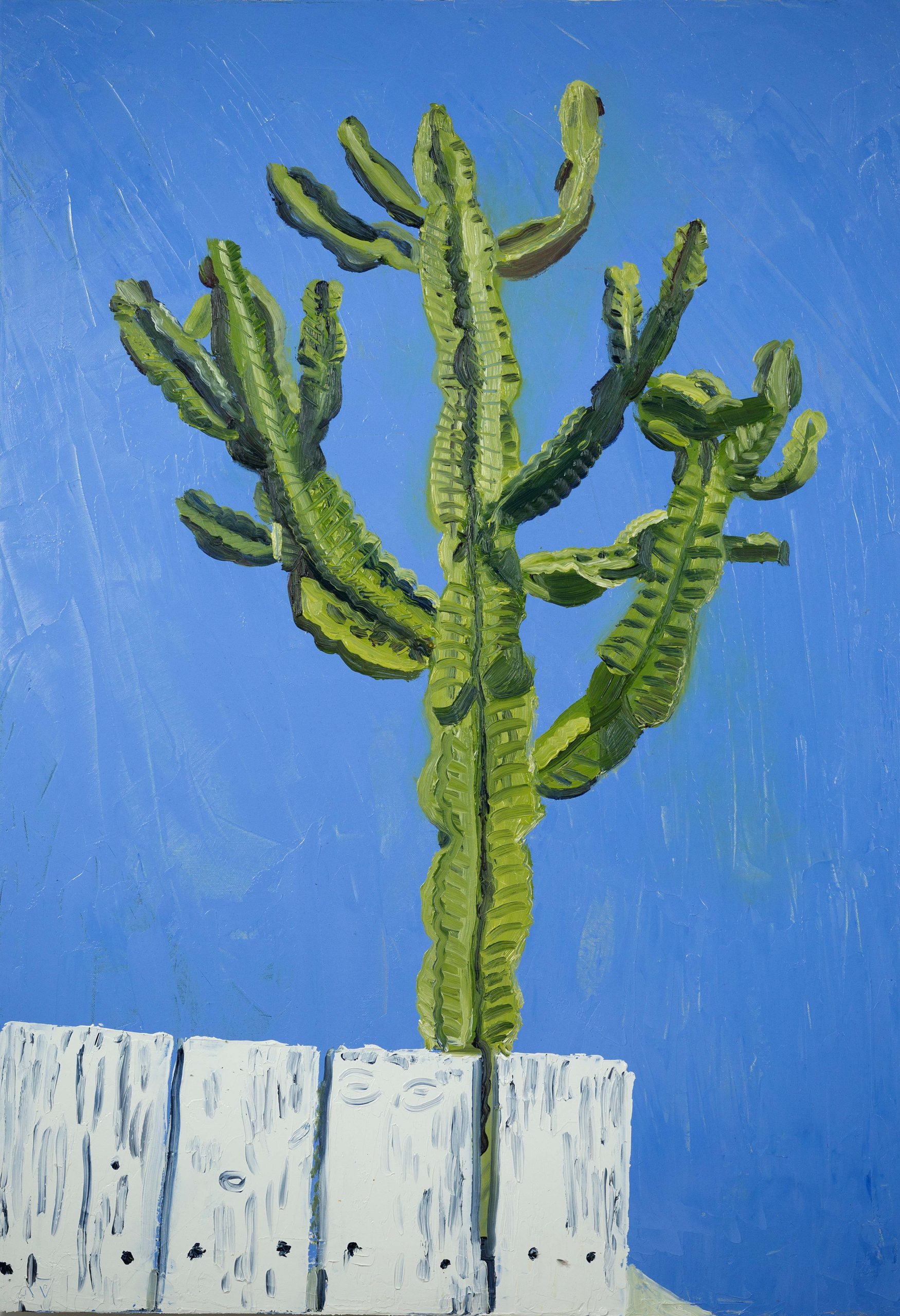 חן אברישמי. צילומים: מ״ל