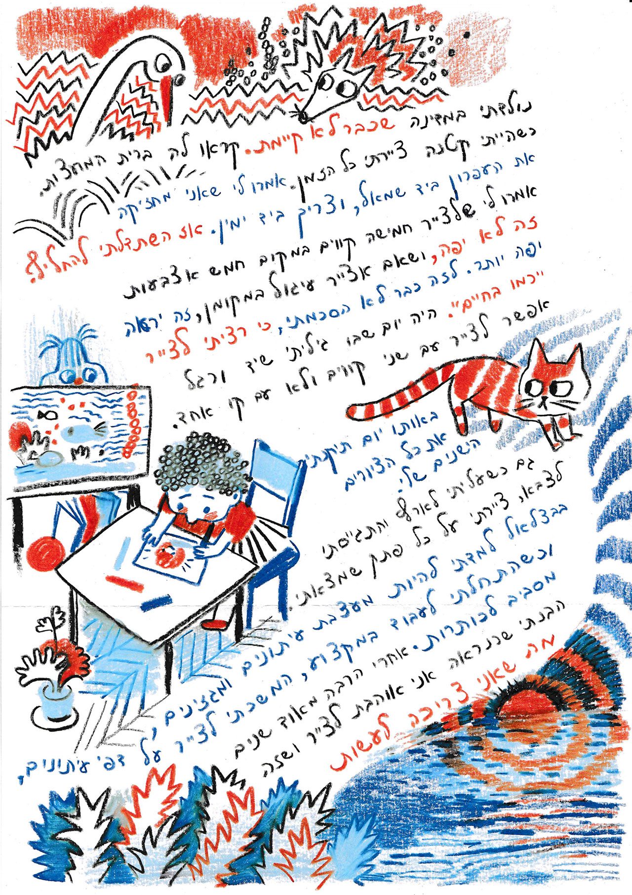מאיה שלייפר