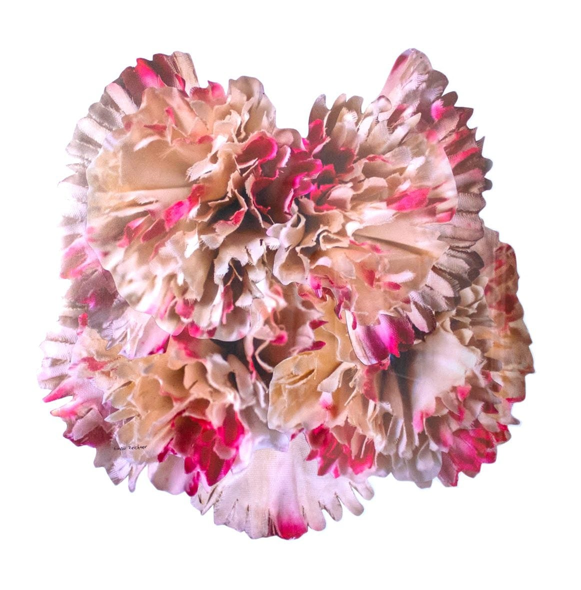 תערוכת לב פועם. צילום: מ"ל