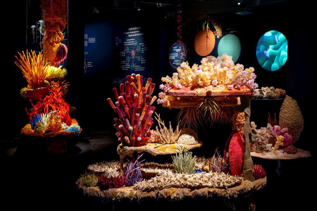 שירת האלמוגים, מראה הצבה. צילומים: שי בן אפריים