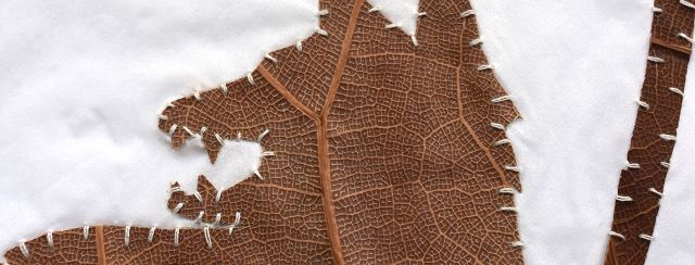 נטע עמיר, מוזיאון הטישו בגלריה B.Y5. צילומים: מ״ל