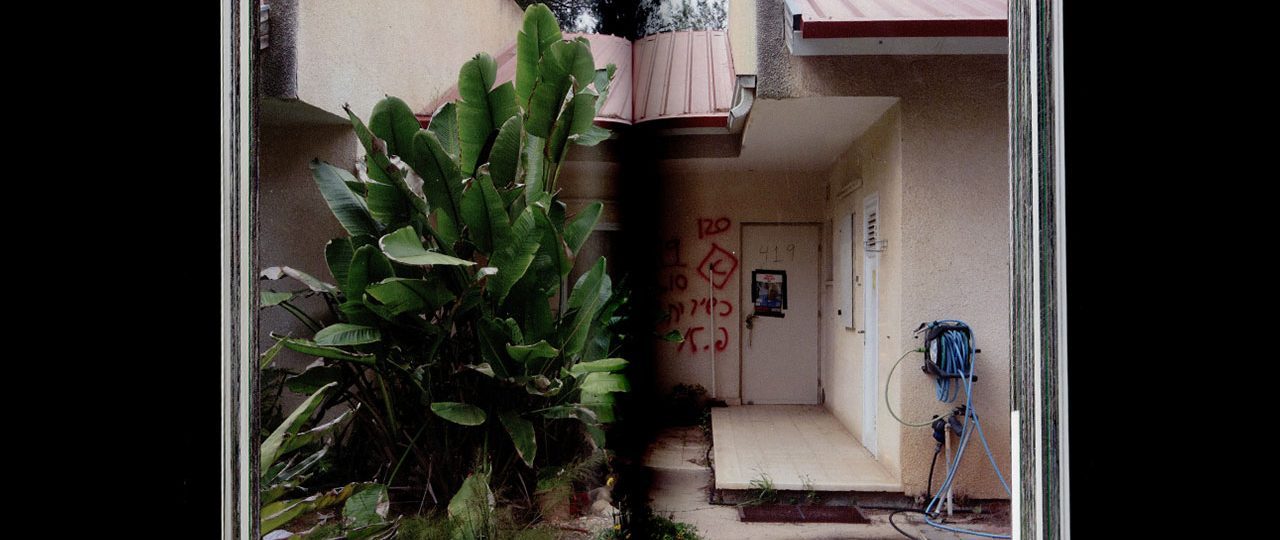 אלון בוטבול ועדן פיינברג סבח, ניר־עוז - פרחי גאולה ואבל. צילומים: מ״ל