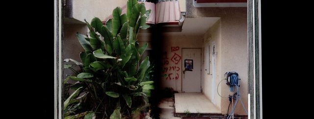 אלון בוטבול ועדן פיינברג סבח, ניר־עוז - פרחי גאולה ואבל. צילומים: מ״ל